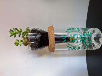 Pilt Apple MacBook Pro