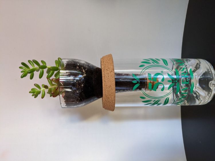 Pilt Apple MacBook Pro